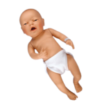 Childbirth Graphics modèle de bébé femme (rose)