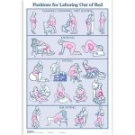 Childbirth Graphics-carte Postures lors de l'accouchement