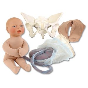 Bassin en tissu Poupée nouveau-né Ensemble de modèles de placenta